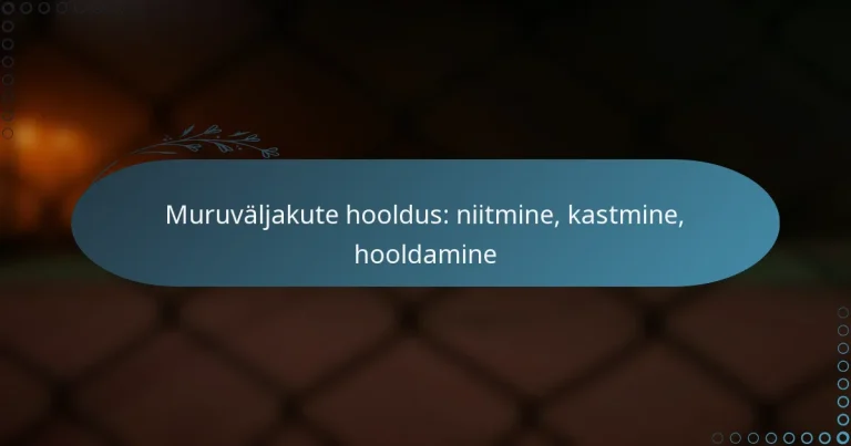 featured-image-muruvaljakute-hooldus-niitmine-kastmine-hooldamine