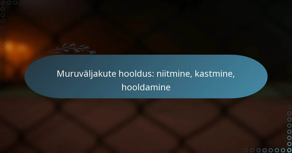 featured-image-muruvaljakute-hooldus-niitmine-kastmine-hooldamine