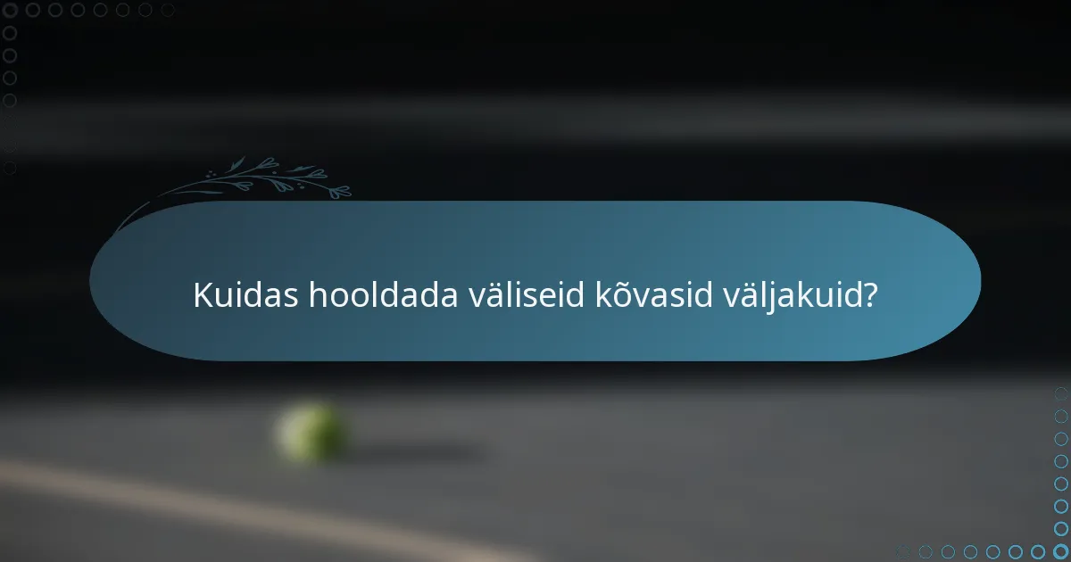 Kuidas hooldada väliseid kõvasid väljakuid?