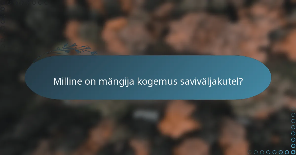 Milline on mängija kogemus saviväljakutel?