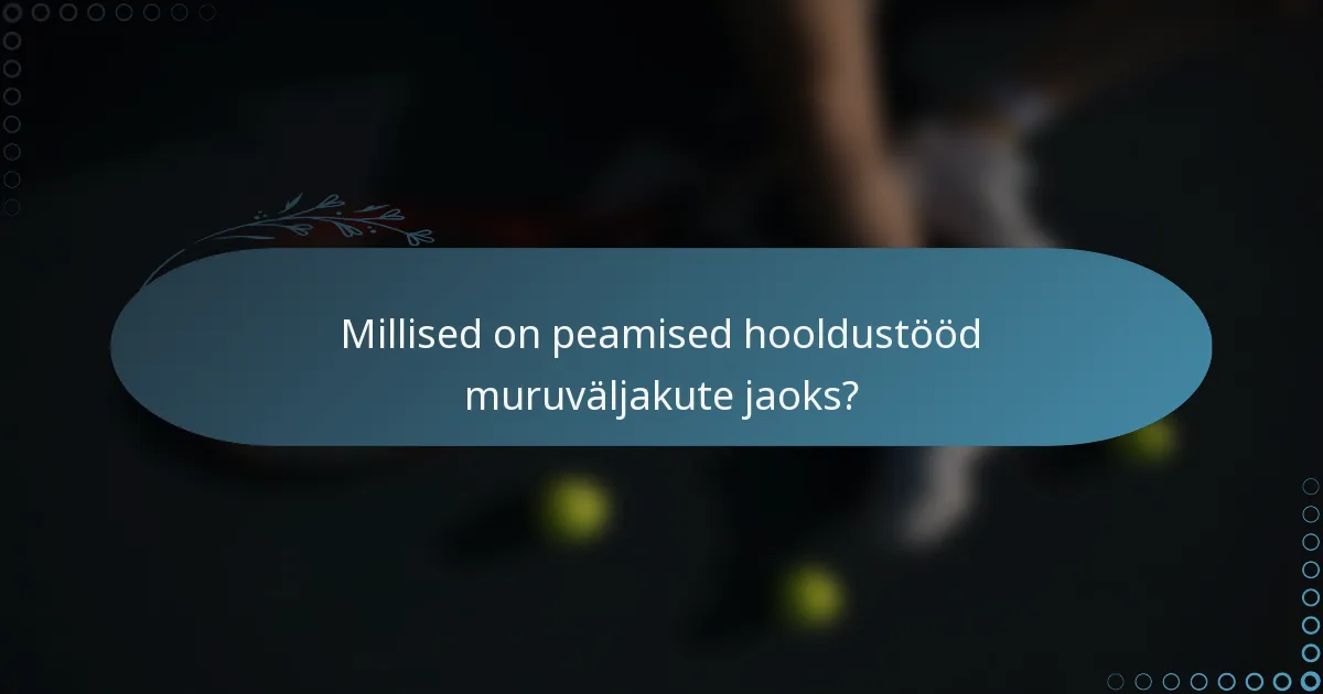Millised on peamised hooldustööd muruväljakute jaoks?