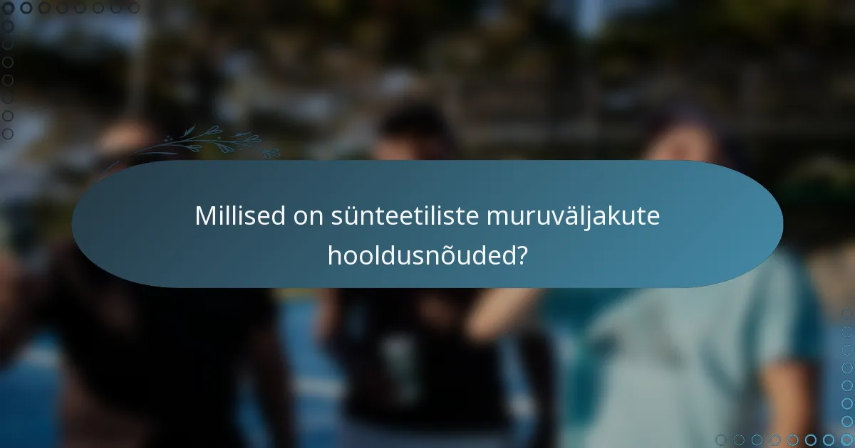 Millised on sünteetiliste muruväljakute hooldusnõuded?